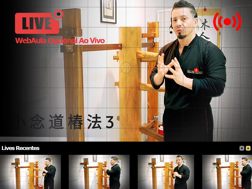 Curso de Wing Chun Online