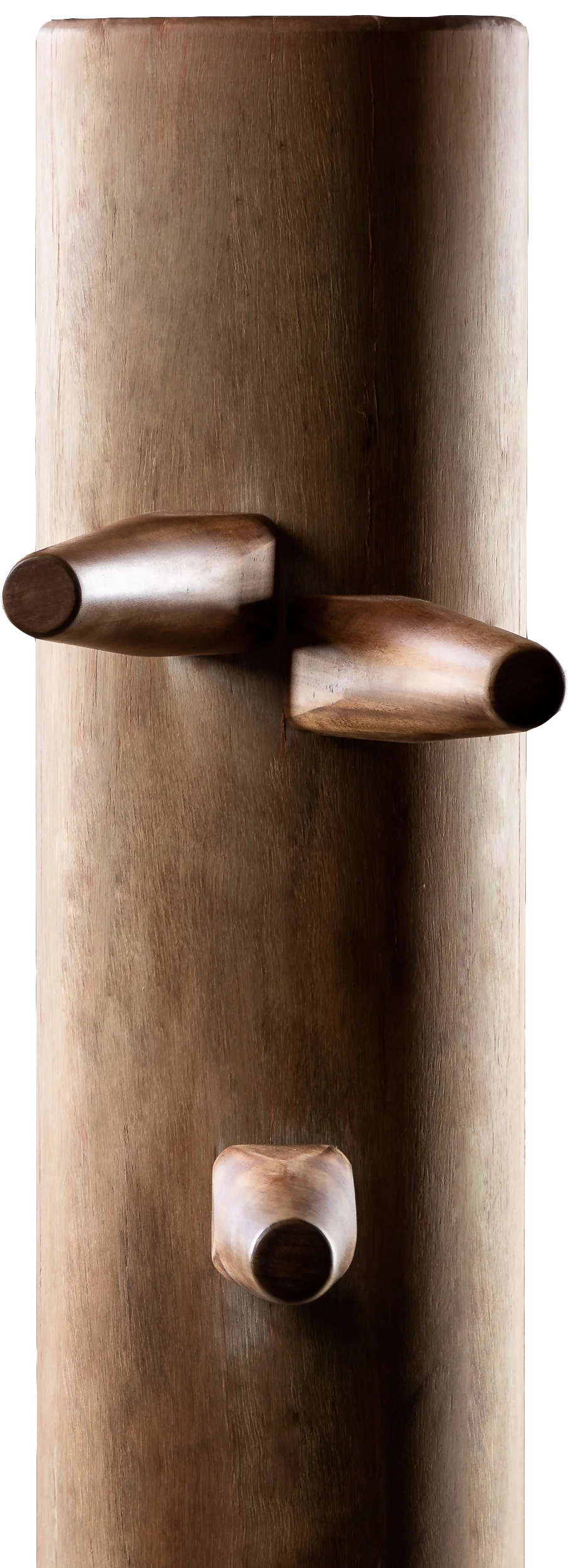 Curso de Wing Chun Online